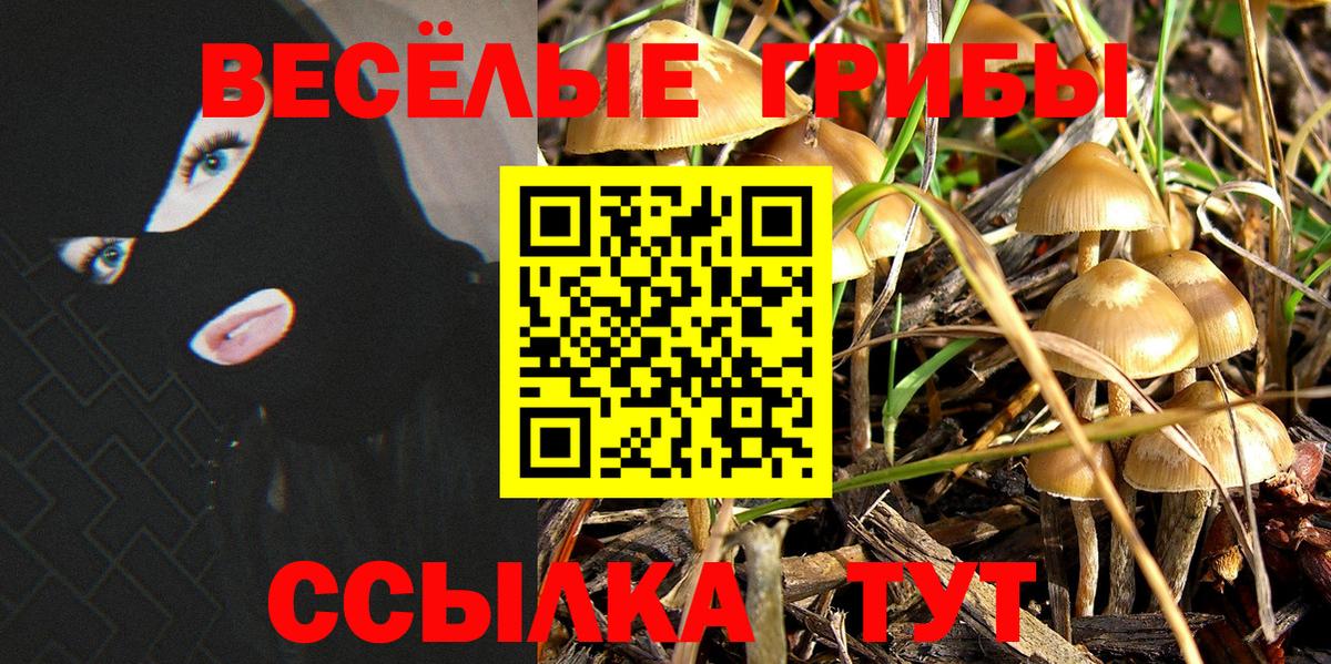 Саянск  Псилоцибиновые грибы Psilocybe  Вход с VPN  Галлюциногенные грибы ЛСД 