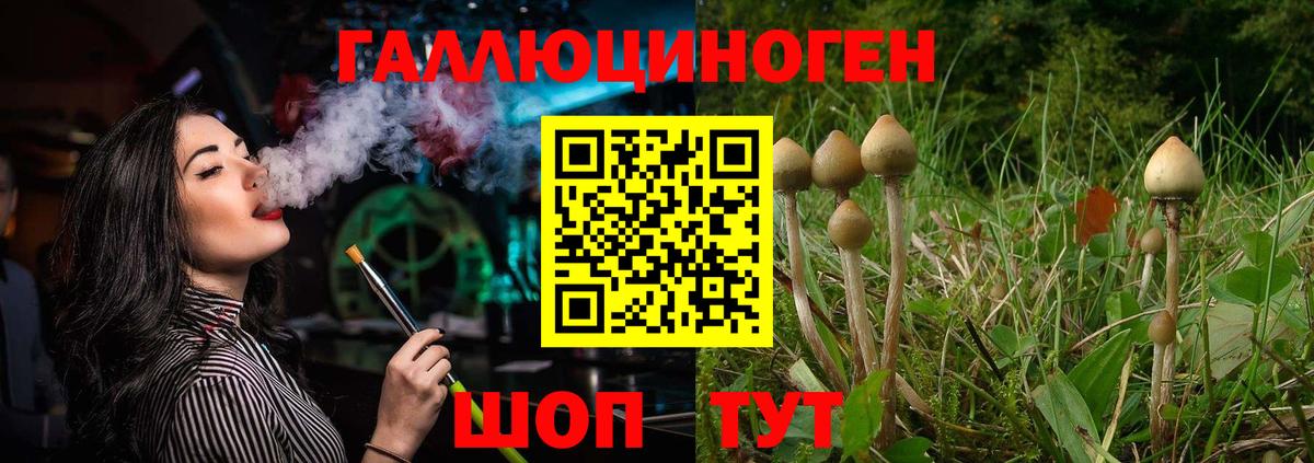Псилоцибиновые грибы прущие грибы Саянск